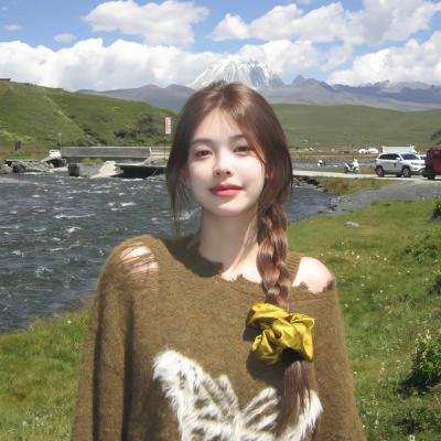 风流访员