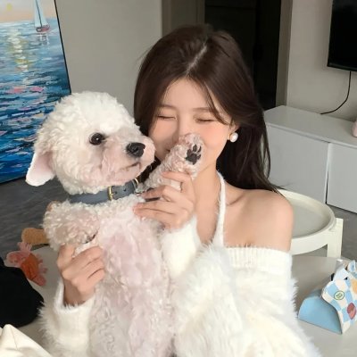 青春火花